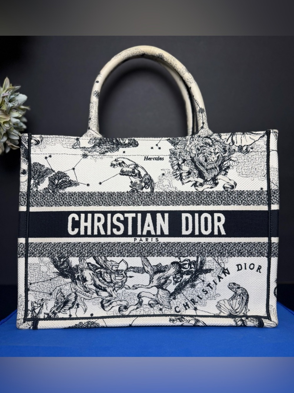 Authentic Dior Medium Book Tote Latte and Black Dior Zodiac Embroidery